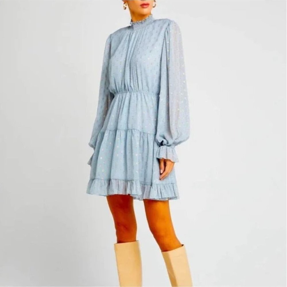 O.P.T. Lluvia Chiffon Mini Dress